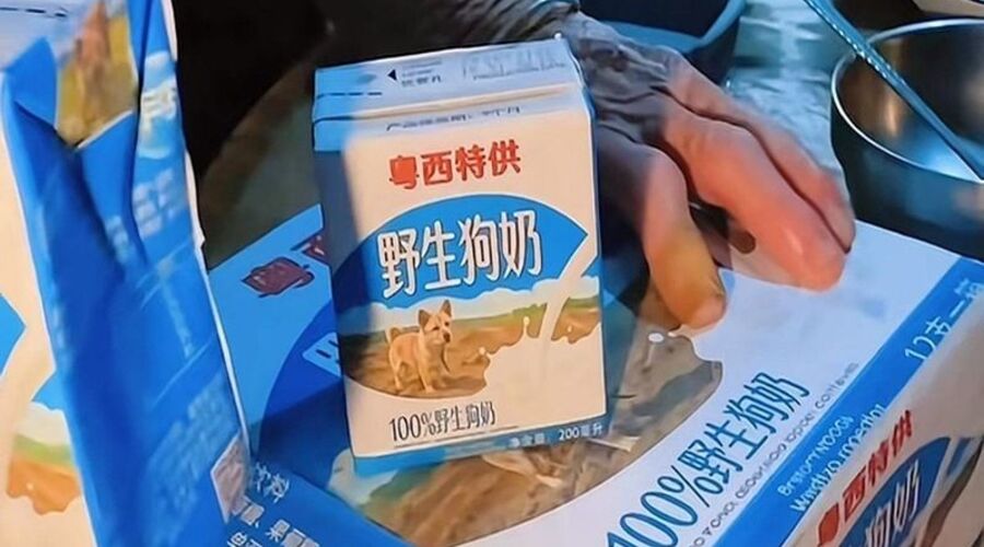 一个离谱创意怎么刷屏全网？「野生狗奶」走红复盘